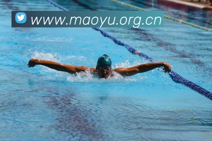 熊猫体育直播观看平台生态图